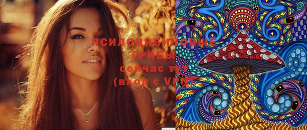 дживик Магас