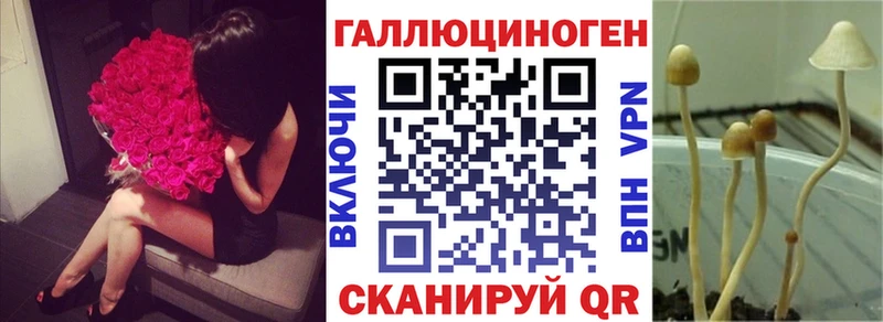 kraken вход Володарск Галлюциногенные грибы Cubensis даркнет сайт